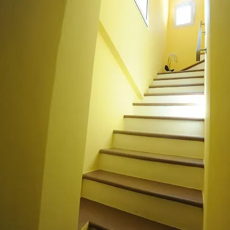 Aurora Domus D'a-mare *