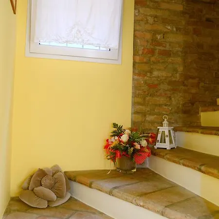 Aurora Domus D'a-mare