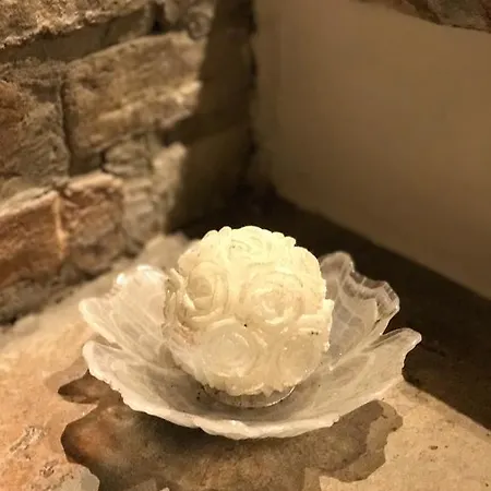 Aurora Domus D'a-mare *